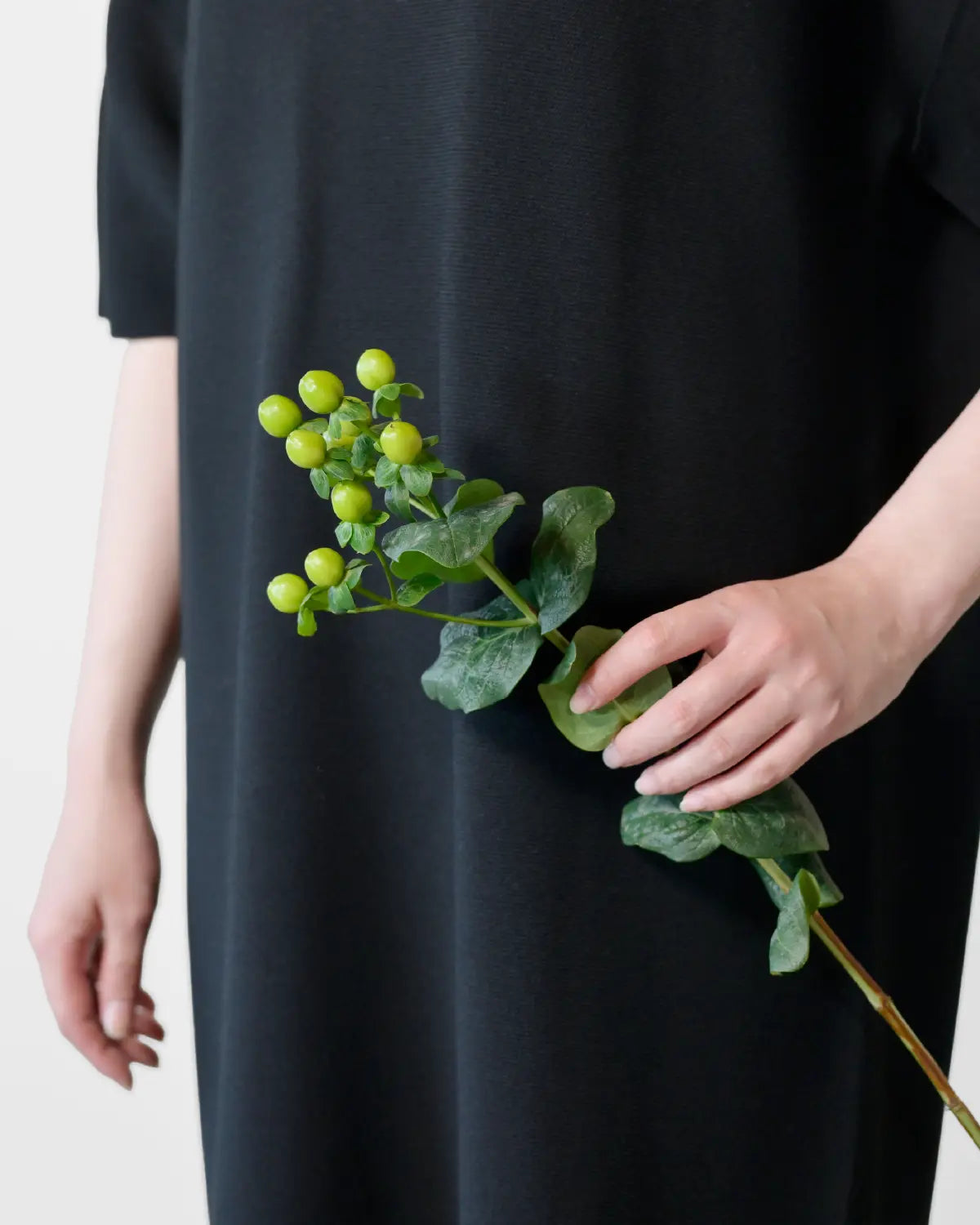 #カラー_01 ブラック