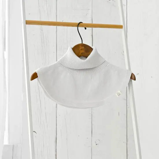 #カラー_17 ペールシルバー